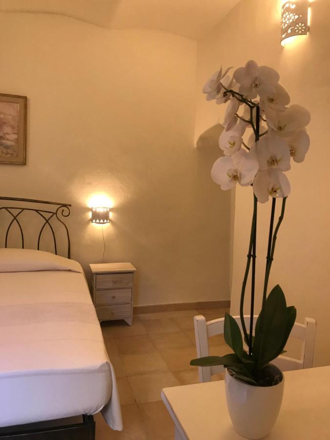 Domo Antiga Guest Rooms Sorso Extérieur photo