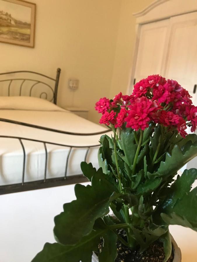 Domo Antiga Guest Rooms Sorso Extérieur photo